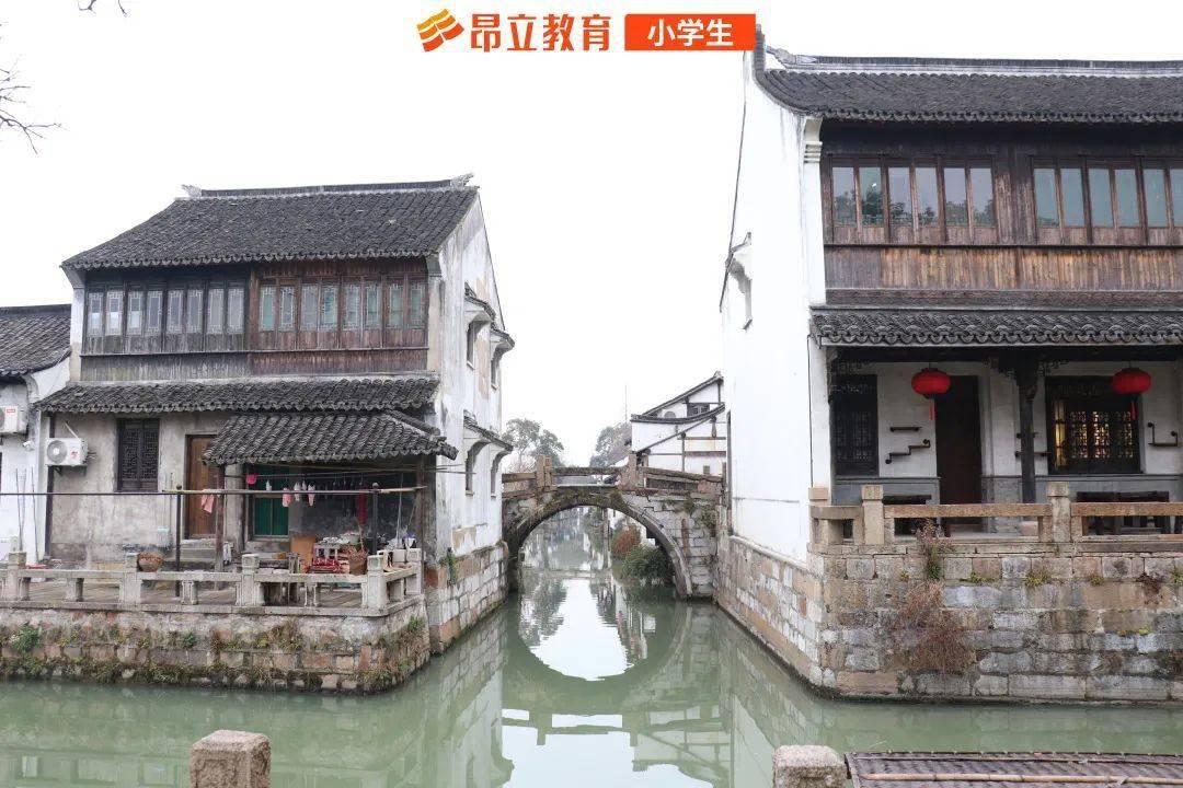 小猫钓鱼正版下载中文版